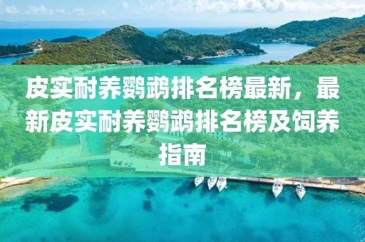 皮實耐養(yǎng)鸚鵡排名榜最新，最新皮實耐養(yǎng)鸚鵡排名榜及飼養(yǎng)指南