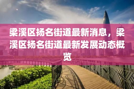 梁溪區(qū)揚名街道最新消息，梁溪區(qū)揚名街道最新發(fā)展動態(tài)概覽