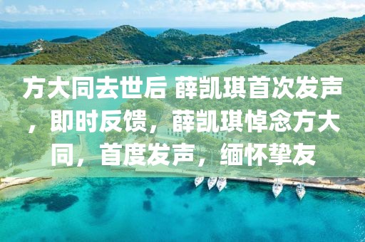 方大同去世后 薛凱琪首次發(fā)聲，即時反饋，薛凱琪悼念方大同，首度發(fā)聲，緬懷摯友
