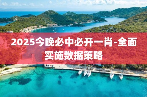 2025今晚必中必開一肖-全面實(shí)施數(shù)據(jù)策略