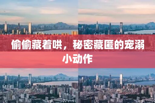 偷偷藏著哄，秘密藏匿的寵溺小動作