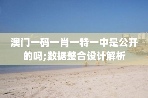 澳門一碼一肖一特一中是公開的嗎;數(shù)據(jù)整合設計解析