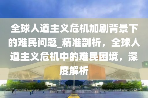 全球人道主義危機(jī)加劇背景下的難民問題_精準(zhǔn)剖析，全球人道主義危機(jī)中的難民困境，深度解析