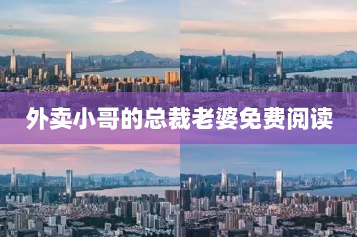 外賣小哥的總裁老婆免費(fèi)閱讀