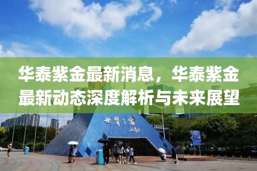 華泰紫金最新消息，華泰紫金最新動態(tài)深度解析與未來展望