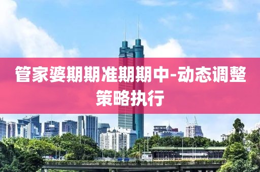 管家婆期期準(zhǔn)期期中-動(dòng)態(tài)調(diào)整策略執(zhí)行