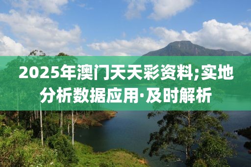 2025年3月4日 第17頁