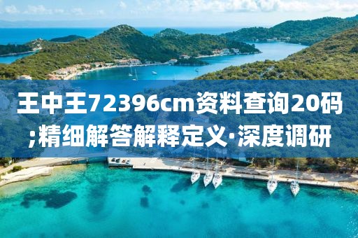 王中王72396cm資料查詢20碼;精細(xì)解答解釋定義·深度調(diào)研
