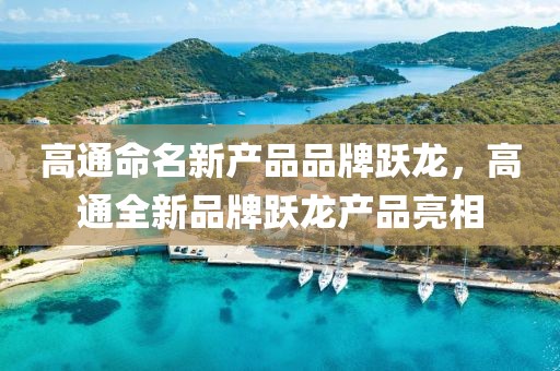 高通命名新產(chǎn)品品牌躍龍，高通全新品牌躍龍產(chǎn)品亮相