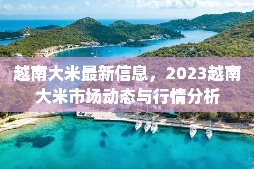 越南大米最新信息，2023越南大米市場動態(tài)與行情分析
