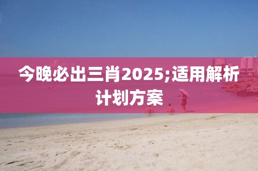 今晚必出三肖2025;適用解析計劃方案
