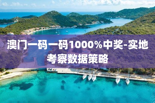 澳門一碼一碼1000%中獎(jiǎng)-實(shí)地考察數(shù)據(jù)策略