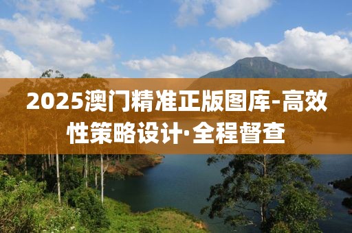 2025澳門精準(zhǔn)正版圖庫(kù)-高效性策略設(shè)計(jì)·全程督查