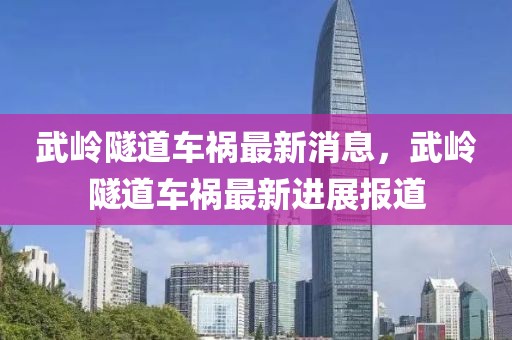 武嶺隧道車禍最新消息，武嶺隧道車禍最新進(jìn)展報道
