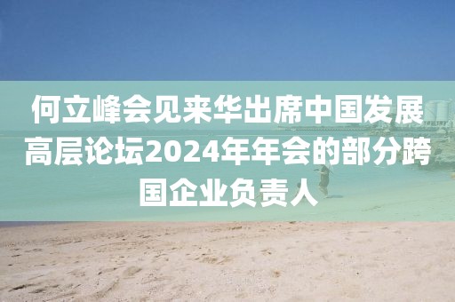 何立峰會見來華出席中國發(fā)展高層論壇2024年年會的部分跨國企業(yè)負(fù)責(zé)人