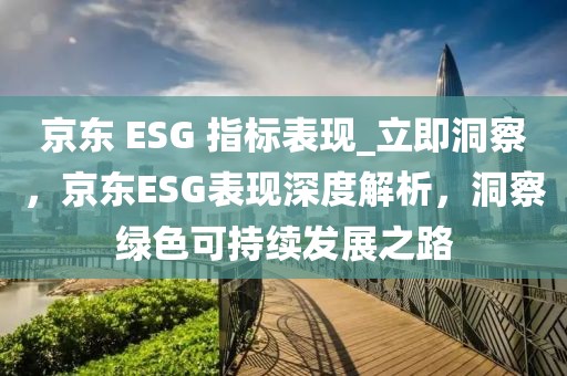 京東 ESG 指標(biāo)表現(xiàn)_立即洞察，京東ESG表現(xiàn)深度解析，洞察綠色可持續(xù)發(fā)展之路