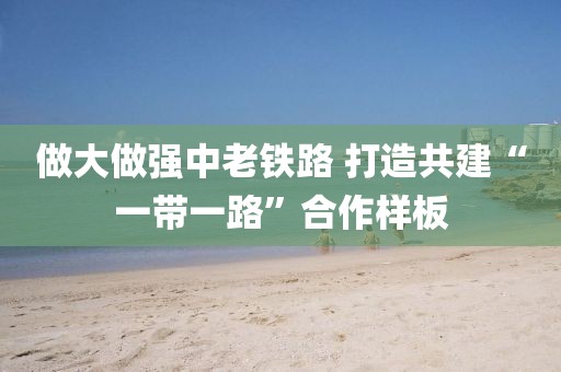 做大做強中老鐵路 打造共建“一帶一路”合作樣板