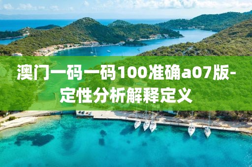 澳門一碼一碼100準(zhǔn)確a07版-定性分析解釋定義