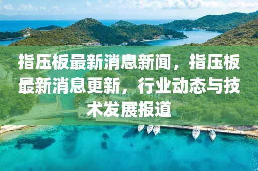 指壓板最新消息新聞，指壓板最新消息更新，行業(yè)動(dòng)態(tài)與技術(shù)發(fā)展報(bào)道