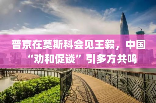 普京在莫斯科會見王毅，中國“勸和促談”引多方共鳴