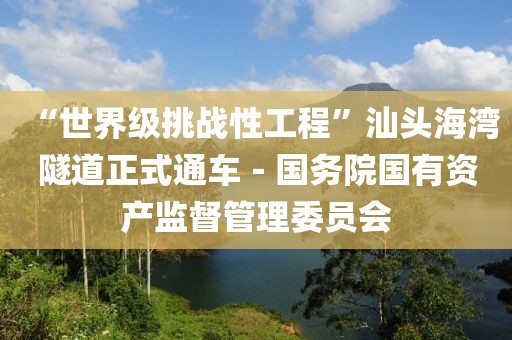 “世界級(jí)挑戰(zhàn)性工程”汕頭海灣隧道正式通車－國(guó)務(wù)院國(guó)有資產(chǎn)監(jiān)督管理委員會(huì)