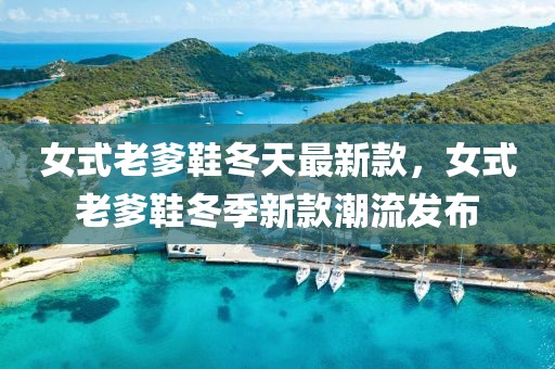 女式老爹鞋冬天最新款，女式老爹鞋冬季新款潮流發(fā)布