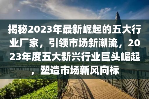 揭秘2023年最新崛起的五大行業(yè)廠家，引領(lǐng)市場新潮流，2023年度五大新興行業(yè)巨頭崛起，塑造市場新風向標