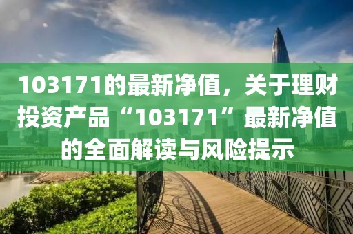 103171的最新凈值，關于理財投資產(chǎn)品“103171”最新凈值的全面解讀與風險提示