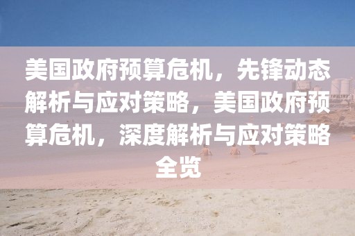 美國政府預(yù)算危機，先鋒動態(tài)解析與應(yīng)對策略，美國政府預(yù)算危機，深度解析與應(yīng)對策略全覽