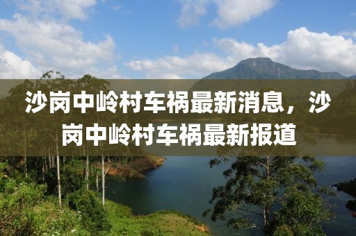 沙崗中嶺村車禍最新消息，沙崗中嶺村車禍最新報(bào)道