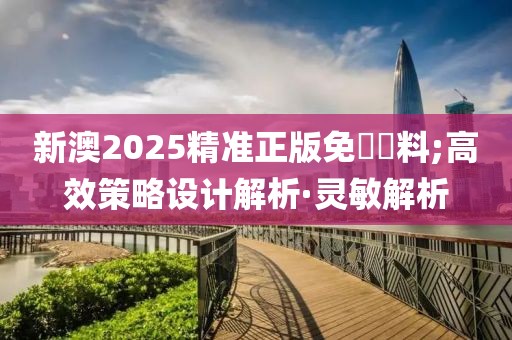 新澳2025精準(zhǔn)正版免費(fèi)資料;高效策略設(shè)計(jì)解析·靈敏解析