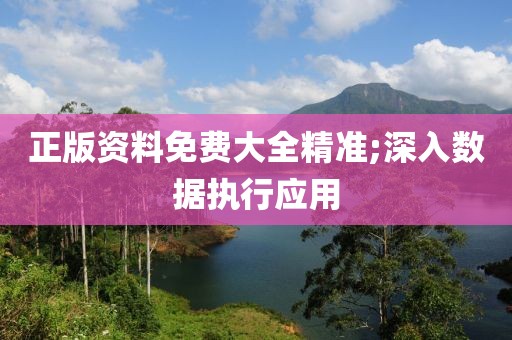 正版資料免費(fèi)大全精準(zhǔn);深入數(shù)據(jù)執(zhí)行應(yīng)用