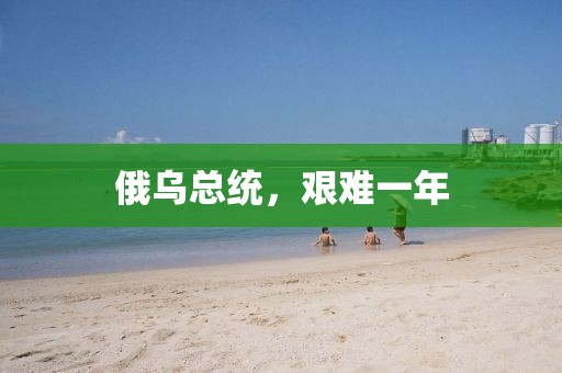俄烏總統(tǒng)，艱難一年