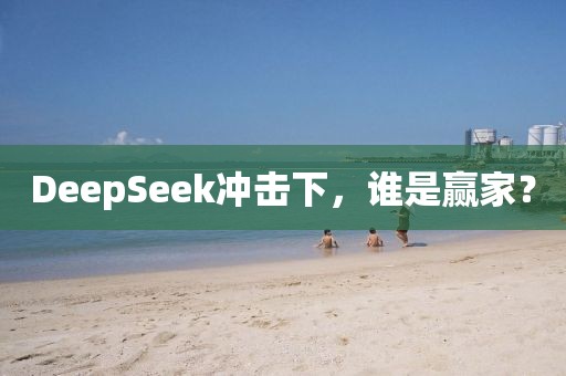 DeepSeek沖擊下，誰是贏家？