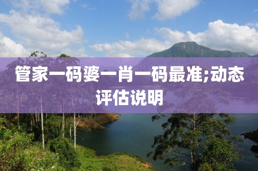 管家一碼婆一肖一碼最準(zhǔn);動態(tài)評估說明