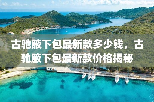 古馳腋下包最新款多少錢(qián)，古馳腋下包最新款價(jià)格揭秘