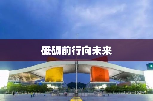 砥礪前行向未來(lái)