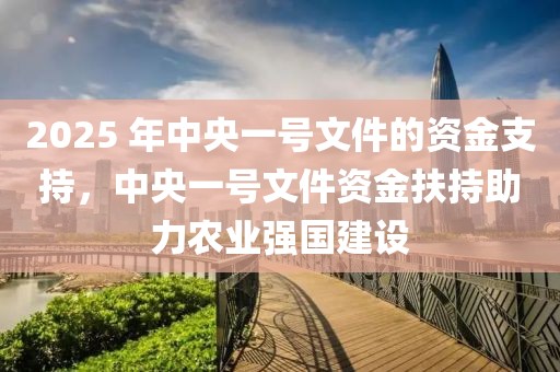 2025 年中央一號(hào)文件的資金支持，中央一號(hào)文件資金扶持助力農(nóng)業(yè)強(qiáng)國(guó)建設(shè)