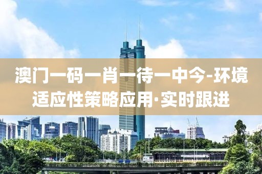 澳門一碼一肖一待一中今-環(huán)境適應性策略應用·實時跟進