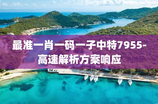 最準(zhǔn)一肖一碼一子中特7955-高速解析方案響應(yīng)