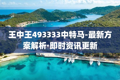 王中王493333中特馬-最新方案解析·即時資訊更新