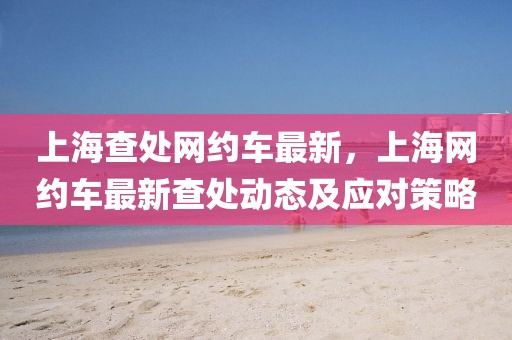 上海查處網(wǎng)約車最新，上海網(wǎng)約車最新查處動(dòng)態(tài)及應(yīng)對(duì)策略