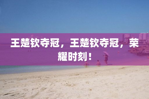 王楚欽奪冠，王楚欽奪冠，榮耀時(shí)刻！