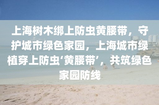上海樹木綁上防蟲黃腰帶，守護(hù)城市綠色家園，上海城市綠植穿上防蟲‘黃腰帶’，共筑綠色家園防線