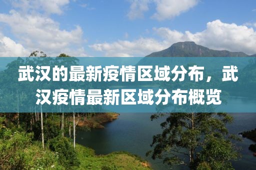 武漢的最新疫情區(qū)域分布，武漢疫情最新區(qū)域分布概覽