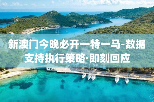 新澳門今晚必開一特一馬-數(shù)據(jù)支持執(zhí)行策略·即刻回應(yīng)