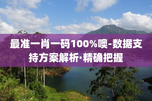 最準(zhǔn)一肖一碼100%噢-數(shù)據(jù)支持方案解析·精確把握