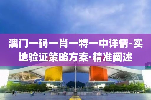 澳門一碼一肖一特一中詳情-實地驗證策略方案·精準(zhǔn)闡述