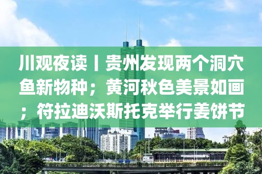 川觀夜讀丨貴州發(fā)現兩個洞穴魚新物種；黃河秋色美景如畫；符拉迪沃斯托克舉行姜餅節(jié)