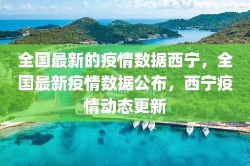 全國最新的疫情數(shù)據(jù)西寧，全國最新疫情數(shù)據(jù)公布，西寧疫情動態(tài)更新